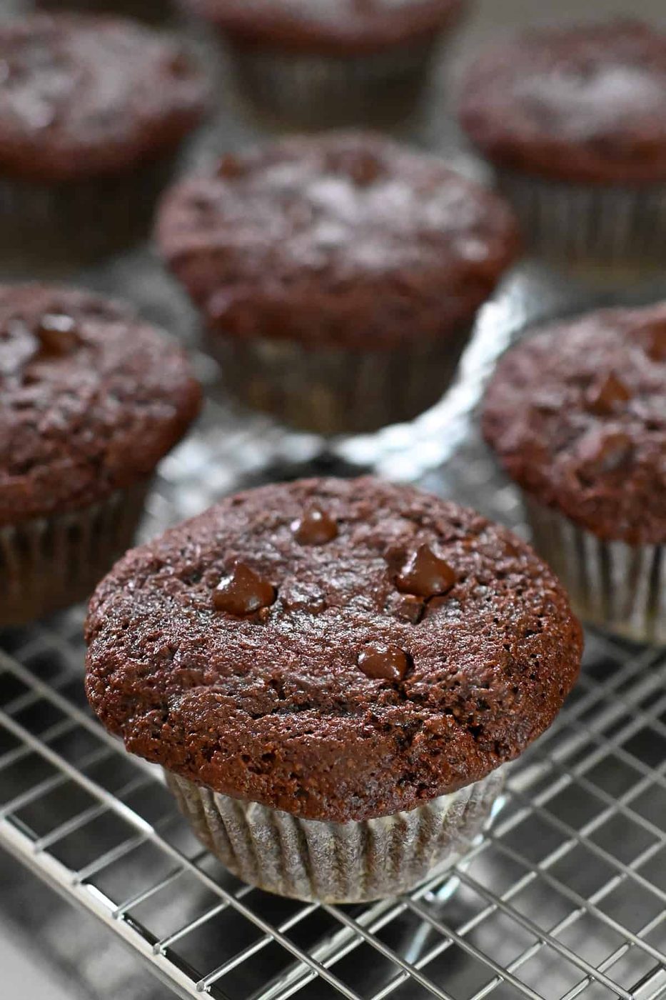 Chocolate Zucchini Muffins
