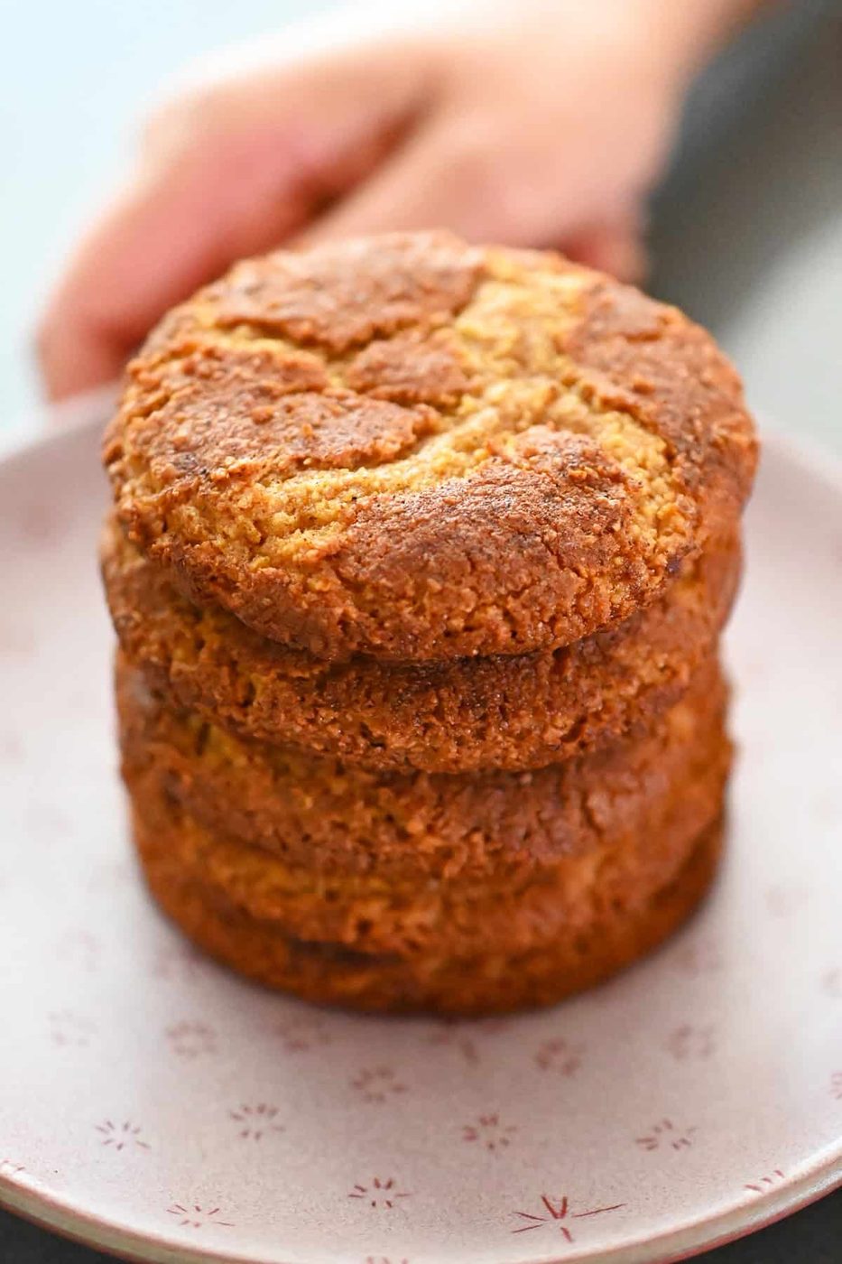 Chewy Pumpkin Snickerdoodles for the week