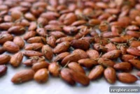 Aromatic Rosemary Almond Crunch