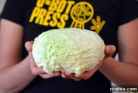 Hearty Stovetop Cabbage Braise