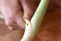 Lemongrass Cooking Guide