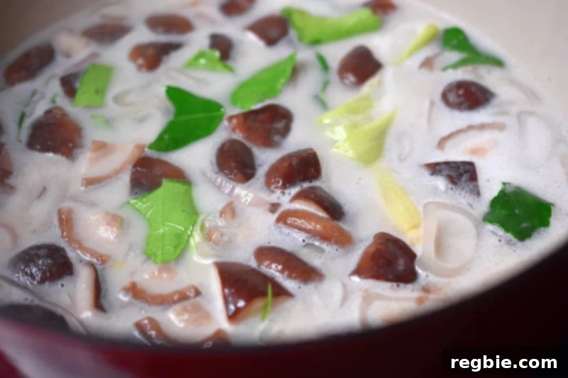 Closeup of a pot of paleo Tom Kha Gai broth gently simmering on the stove, releasing fragrant flavors.
