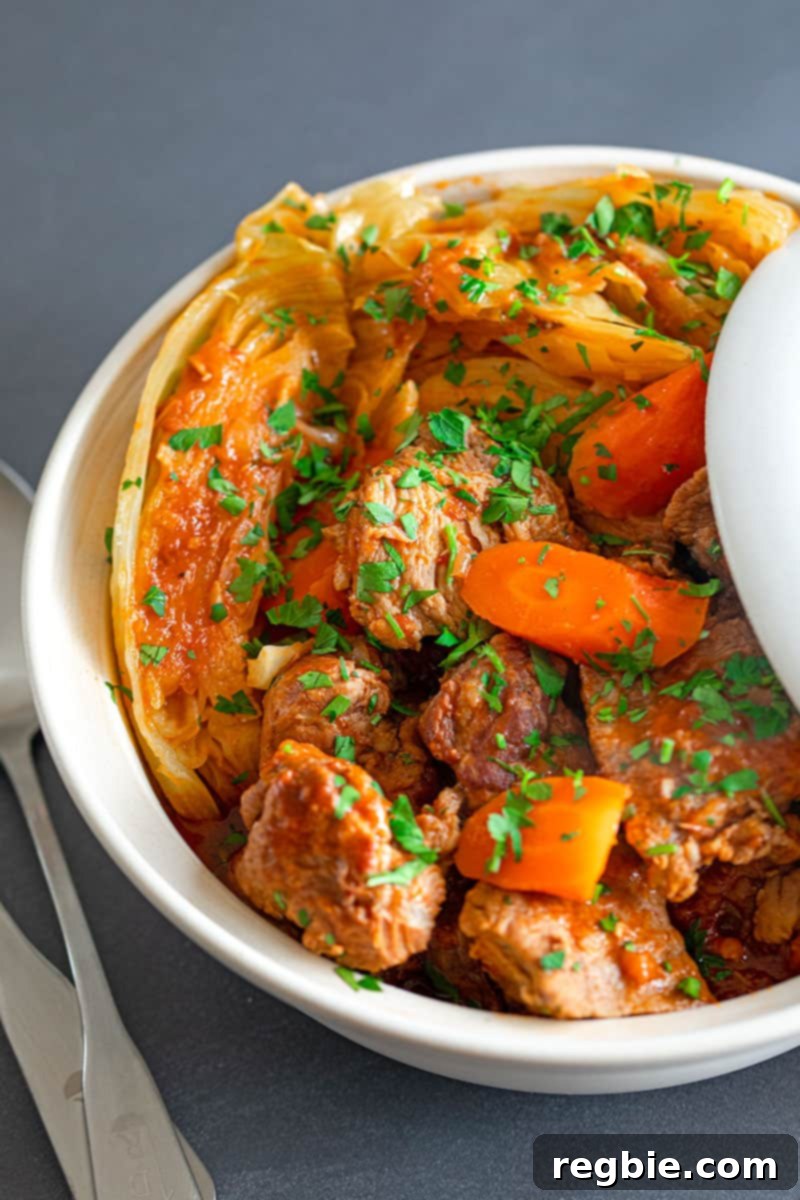 A vibrant, overhead shot of a generous bowl filled with Slow Cooker Pork and Cabbage Stew, garnished with fresh parsley. This healthy, comforting supper is both Paleo and Whole30 compliant.