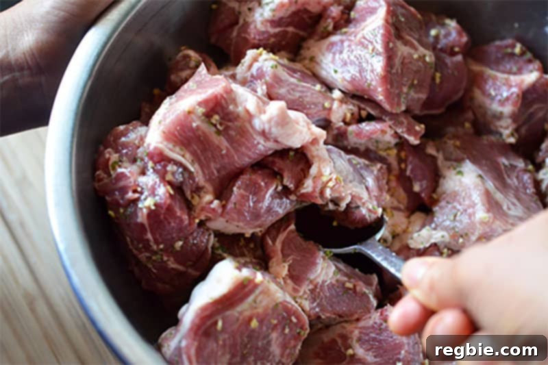 A hand gently tossing cubed pork shoulder with Sunny Paris seasoning, fish sauce, salt, and pepper, ensuring every piece is coated before slow cooking.