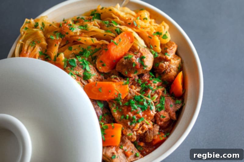 An inviting overhead shot of a large white bowl brimming with hearty Crock-Pot pork and cabbage stew, a perfect Whole30, keto, and low carb dinner, garnished with fresh herbs.