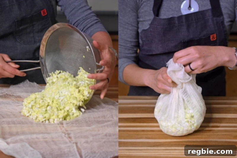 The salted cabbage is dumped onto a piece of cheese cloth and the edges are brought up to form a sack.