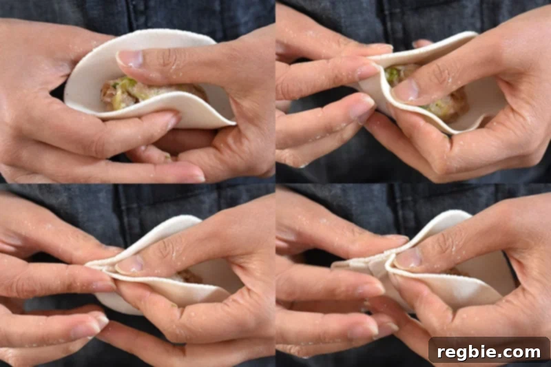 The sides of the wrapper are pulled up around the filling like a taco. Use your thumb to keep the filling down and stat crimping the edge of one side of the pot sticker.