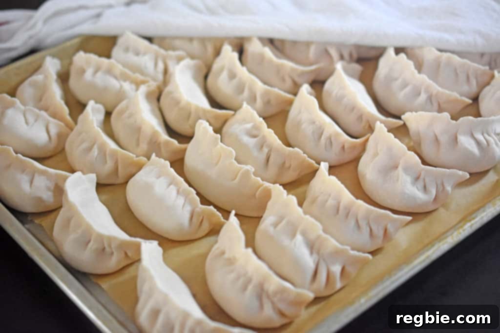 A parchment-lined rimmed baking sheet is filled with Paleo Pot Stickers. There is a damp towel covering part of them.