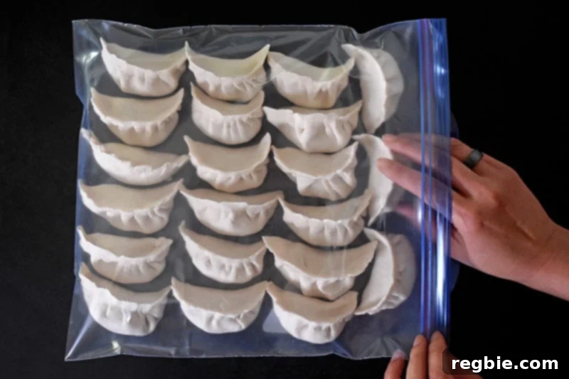 Paleo Pot Stickers carefully lined up in a single layer in a Ziplock freezer bag.