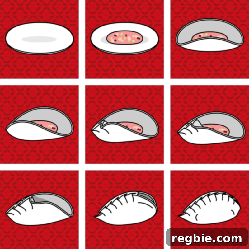 A cartoon depiction of how to fold pot stickers properly, divided into nine steps.