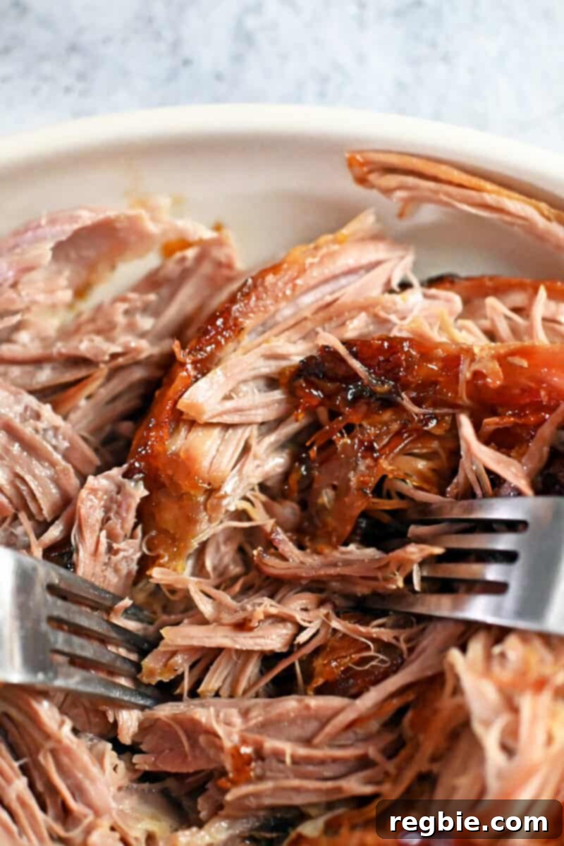 Effortless Peach Glazed Pork Roast 16 Closeup of two forks shredding a cooked pork shoulder roast.