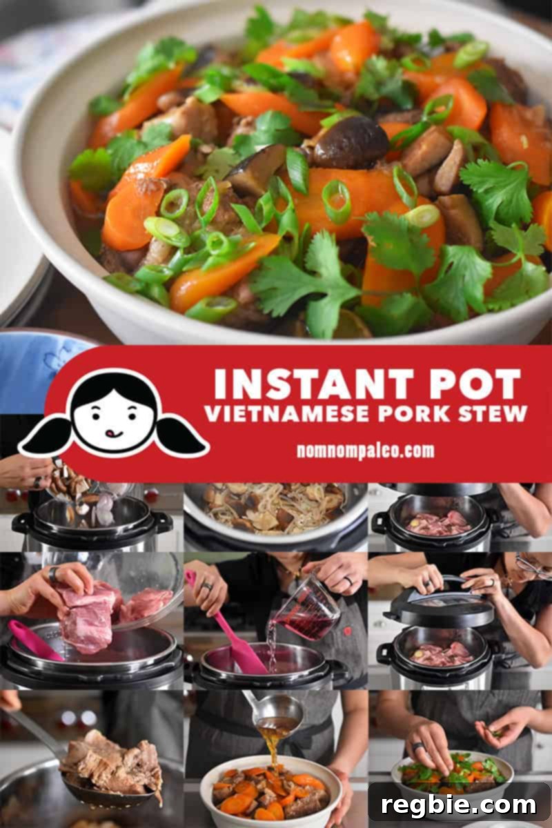 A visual collage showing the step-by-step cooking process for preparing Instant Pot Vietnamese Pork Stew, from ingredients to finished dish.