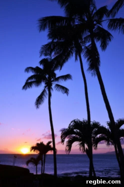 Sunset in Maui with purple skies and palm trees in Maui