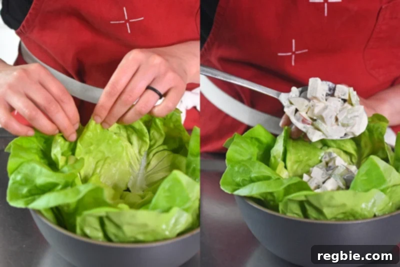 Chicken Waldorf salad being spooned elegantly onto a bed of fresh, vibrant lettuce leaves, preparing for serving.