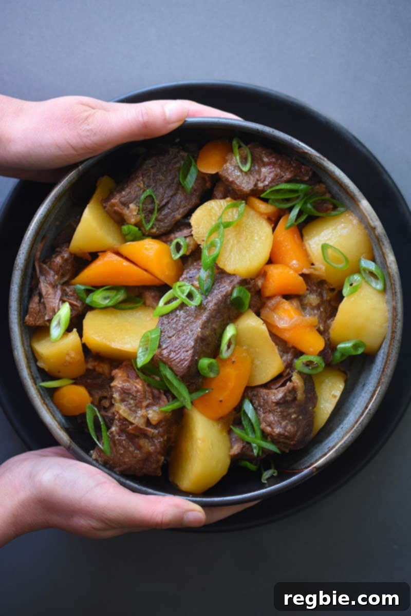 An overhead shot of two hands holding a bowl of Instant Pot Chinese Beef Stew, showcasing its rich texture and vibrant colors.