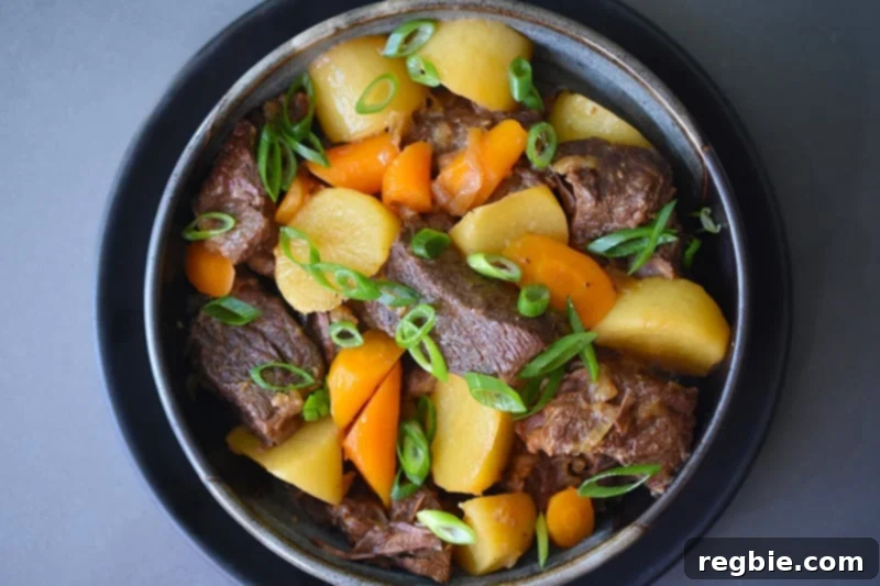 An overhead shot of Instant Pot Chinese Beef Stew topped with sliced scallions, ready to be served.