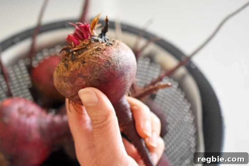 Sweet and Tangy Roasted Beets 4 Trimming the roots of fresh beets before roasting.