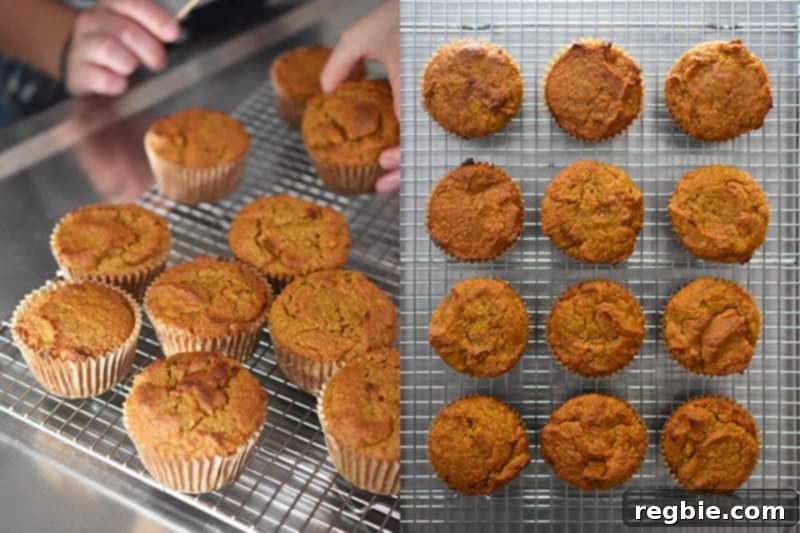 A shot of the perfectly cooked paleo pumpkin muffins arranged neatly on a wire cooling rack, allowing air to circulate around them.