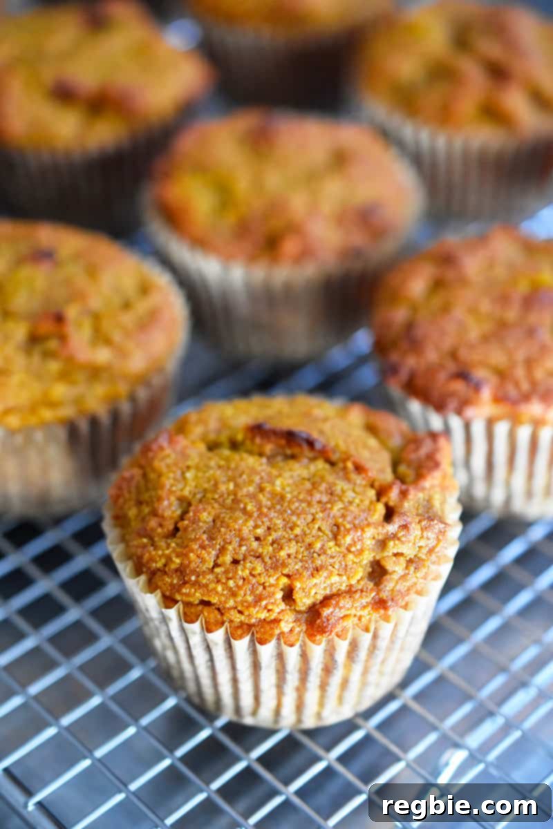 A beautiful closeup shot of the perfectly baked paleo pumpkin muffins, showcasing their fluffy texture and golden tops, sitting on a wire cooling rack.