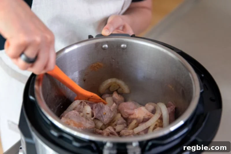 Easy Instant Pot Whole30 Keto Pork Stew 8 Stirring the contents of the Instant Pot to distribute seasonings for the paleo and Whole30 pork and cabbage stew.