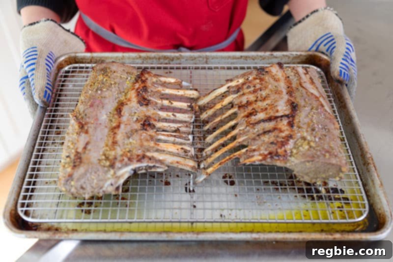 Two racks of lamb, fresh out of the oven with a perfectly browned and crispy exterior, ready to be carved and served.