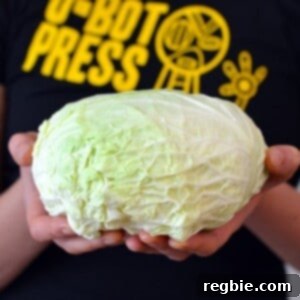 Someone holding a green napa cabbage.