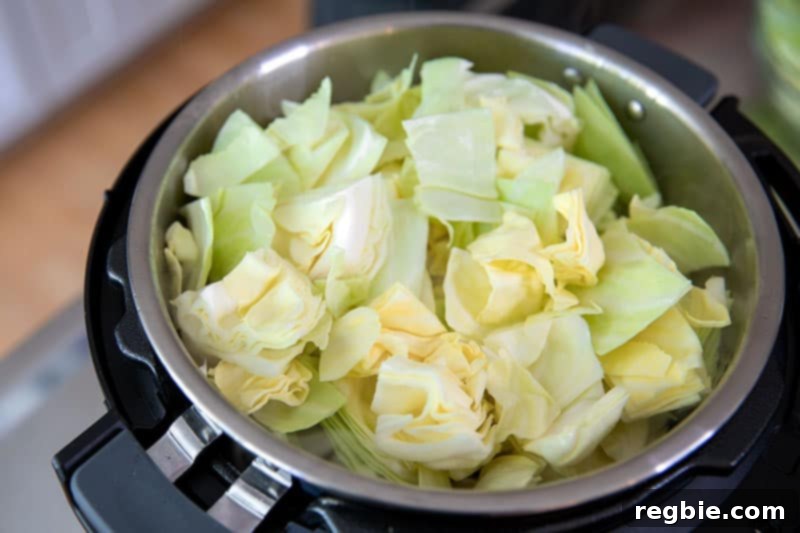 An overhead shot of an Instant Pot generously filled with a vibrant mix of chopped cabbage, carrots, and cauliflower, forming the hearty base for this low-carb Ethiopian vegetable stew.