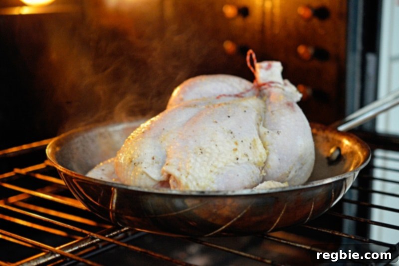 A raw whole chicken, meticulously prepared and seasoned, being carefully placed breast-side up into a hot skillet within the oven.