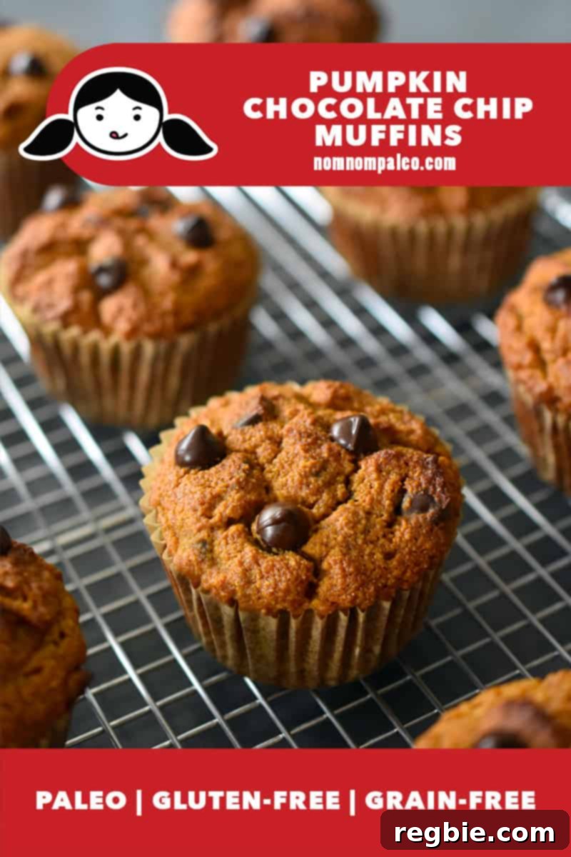 A dozen golden-brown pumpkin chocolate chip muffins, speckled with dark chocolate, cooling on a wire rack. They are paleo, gluten-free, and grain-free.
