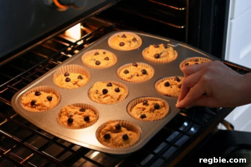 Carefully placing the unbaked paleo pumpkin chocolate chip muffins into the preheated oven for baking.