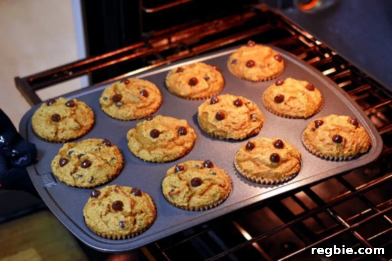 Rotating a tray of gluten-free pumpkin chocolate chip muffins in the oven at the halfway point of their baking cycle to ensure even browning.
