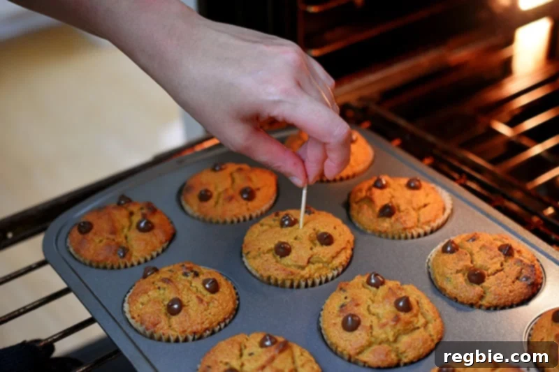 Testing a grain-free pumpkin chocolate chip muffin for doneness by inserting a toothpick into its center; it should come out clean.