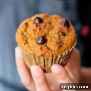 A hand holding up a paleo pumpkin chocolate chip muffin.
