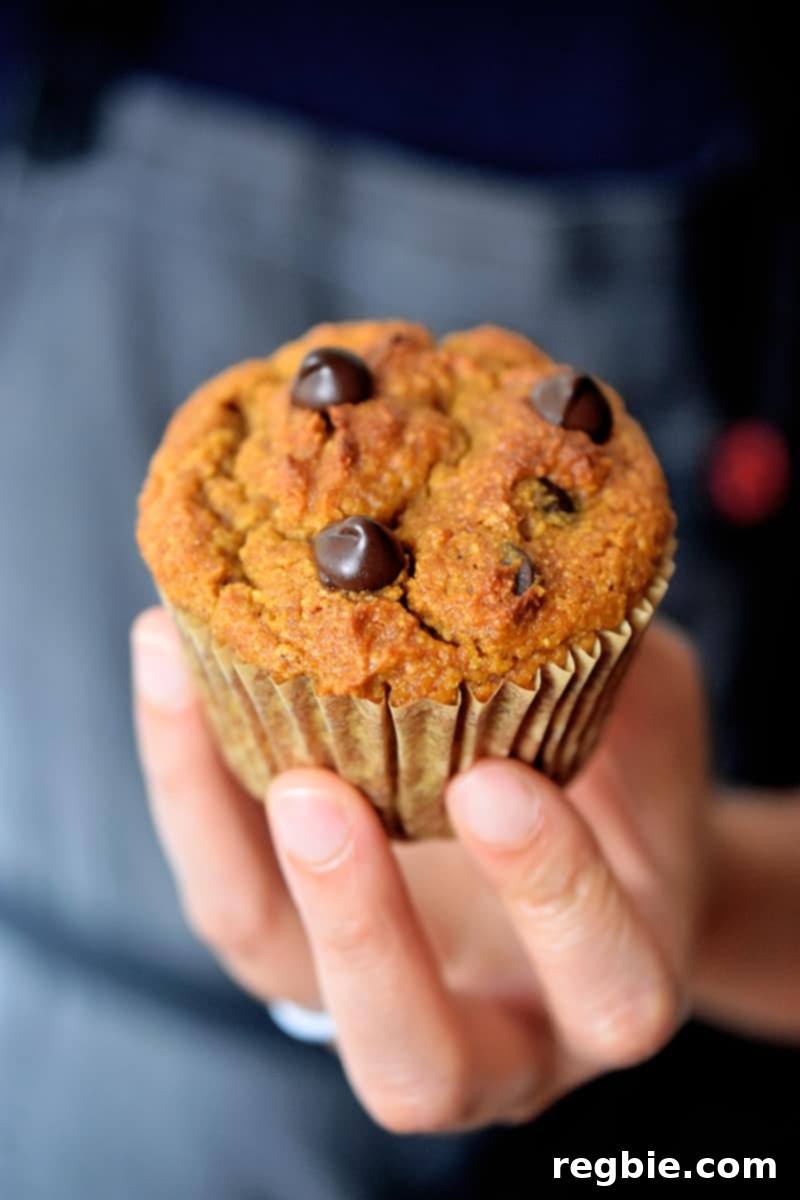 A hand gently holding a freshly baked, perfectly golden-brown paleo pumpkin chocolate chip muffin, highlighting its tempting texture.