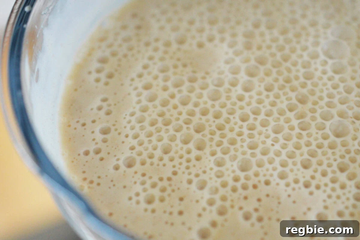 An overhead shot of dairy-free vanilla ice cream batter in a blender, ready to be chilled and frozen.