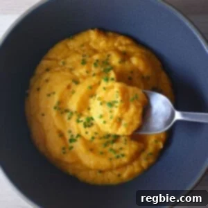 Instant Pot Autumn Mash by Michelle Tam https://nomnompaleo.com. A rustic, colorful mash in a serving bowl, showcasing its rich texture.