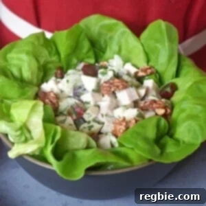 Two hands holding a bowl of chicken Waldorf salad.