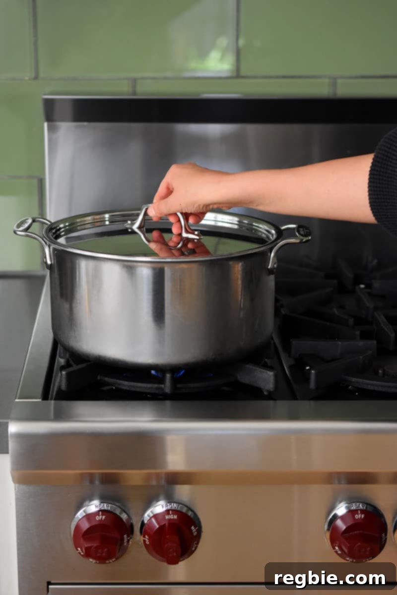 Garden Colcannon 5 A hand is putting a lid on a large stockpot filled with water on a stovetop.
