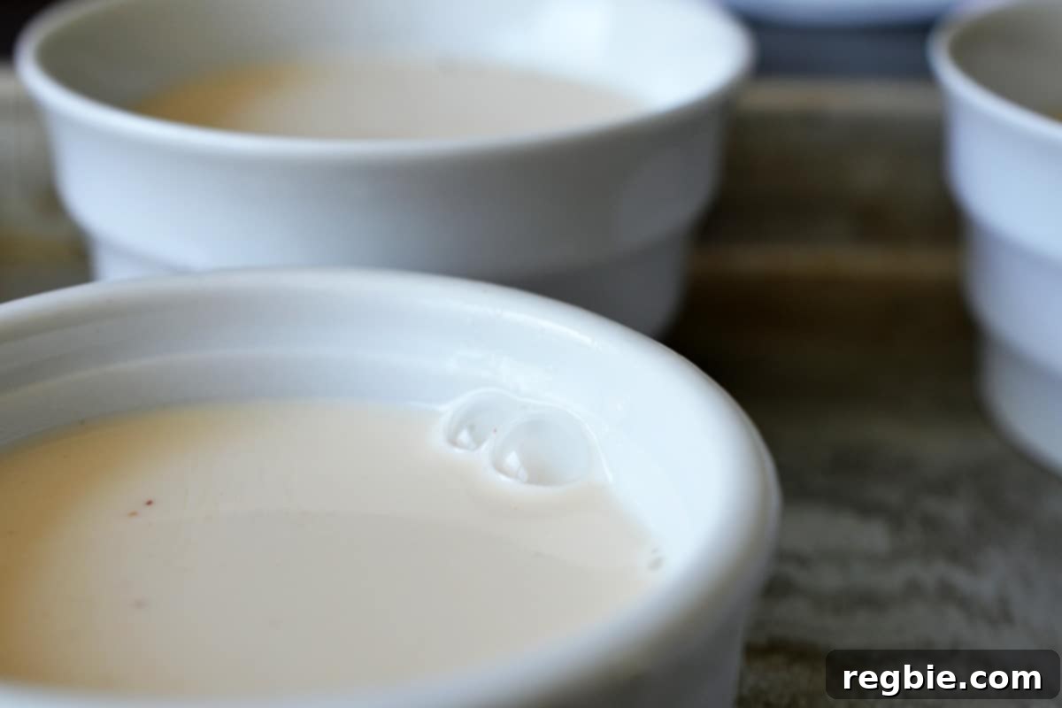 A side view of three white ramekins filled with Panna Cotta about to be chilled in the fridge.