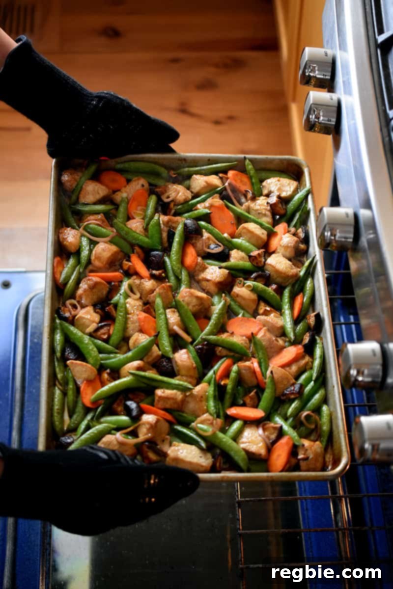 One-Pan Wonder Chicken Stir-Fry 13 Two gloved hands are removing a sheet pan chicken stir-fry from an open oven,