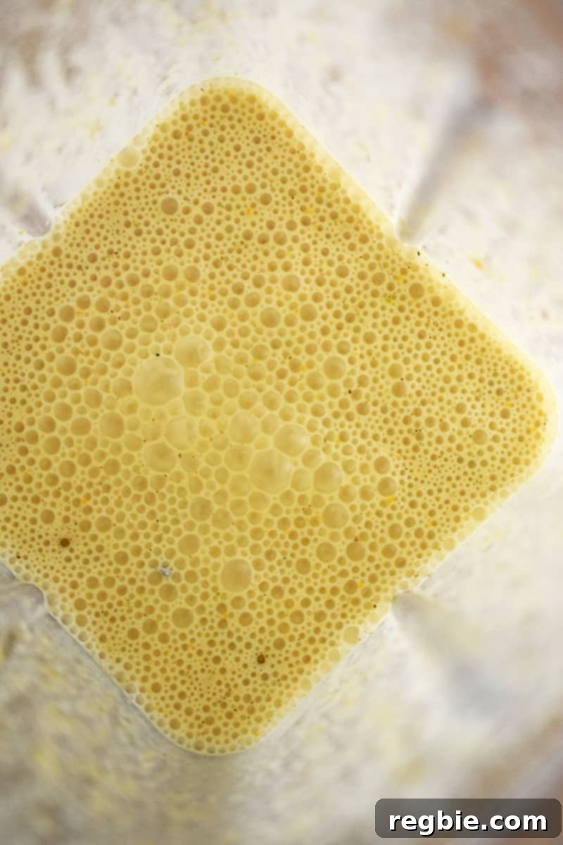 An overhead shot of mojo sauce blended in a blender.
