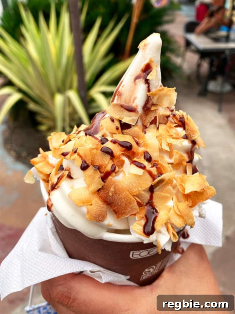 Vegan and gluten-free macadamia nut soft serve topped with echolocate sauce and coconut flakes from Sweet Journey's Soft Serve on the Big Island.