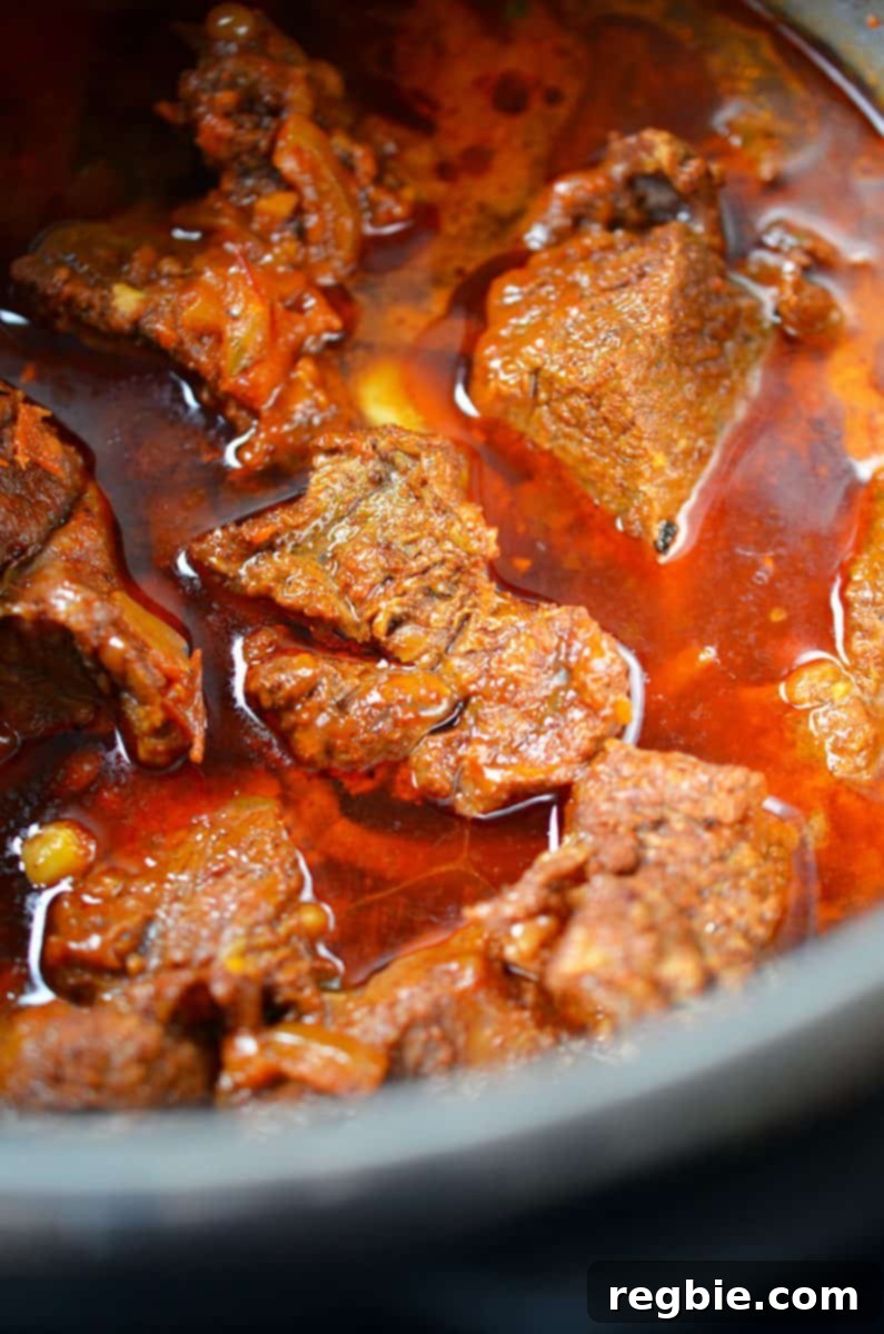 An overhead shot of Instant Pot Mexican Beef just finished cooking, with tender, succulent pieces submerged in rich sauce.
