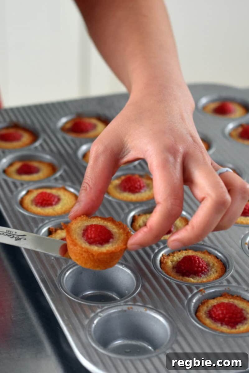 Paleo Raspberry Financiers 12 A close-up view of a perfectly baked paleo raspberry financier being gently removed from its muffin cup, revealing its golden-brown exterior and tender texture.