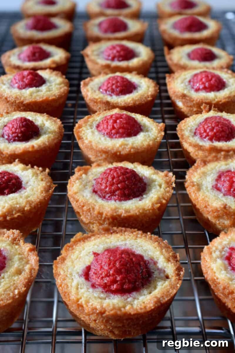 Paleo Raspberry Financiers 13 A beautiful array of paleo and gluten-free raspberry financiers, perfectly golden and topped with juicy raspberries, cooling gracefully on a wire rack.