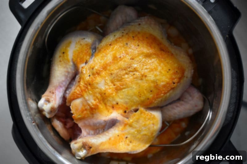 An overhead shot showing a whole chicken, breast side up, perfectly positioned on the steamer rack within an Instant Pot.