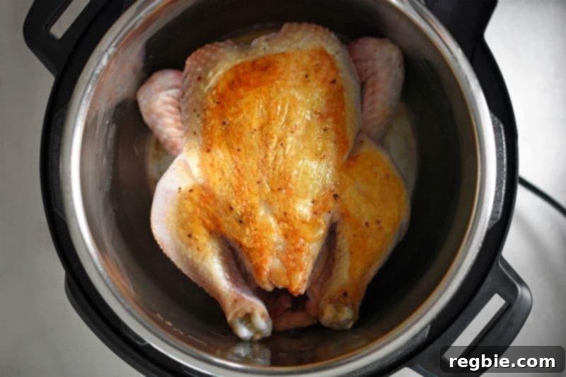 An overhead view of a perfectly browned whole chicken, breast side up, resting in an open Instant Pot after searing.