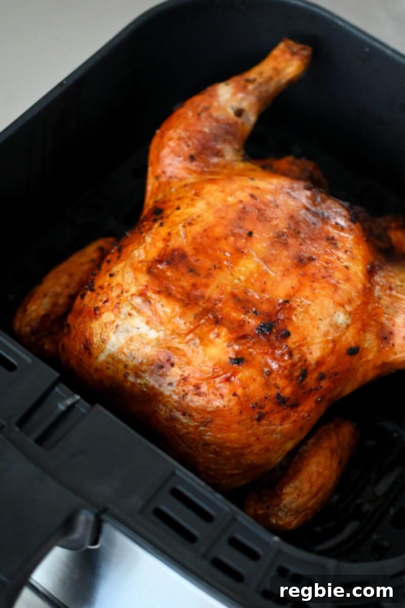 Golden Crispy Air Fried Whole Chicken 3 A side shot of an air fryer basket filled with a golden brown rotisserie-style whole chicken, showcasing its perfectly cooked exterior.
