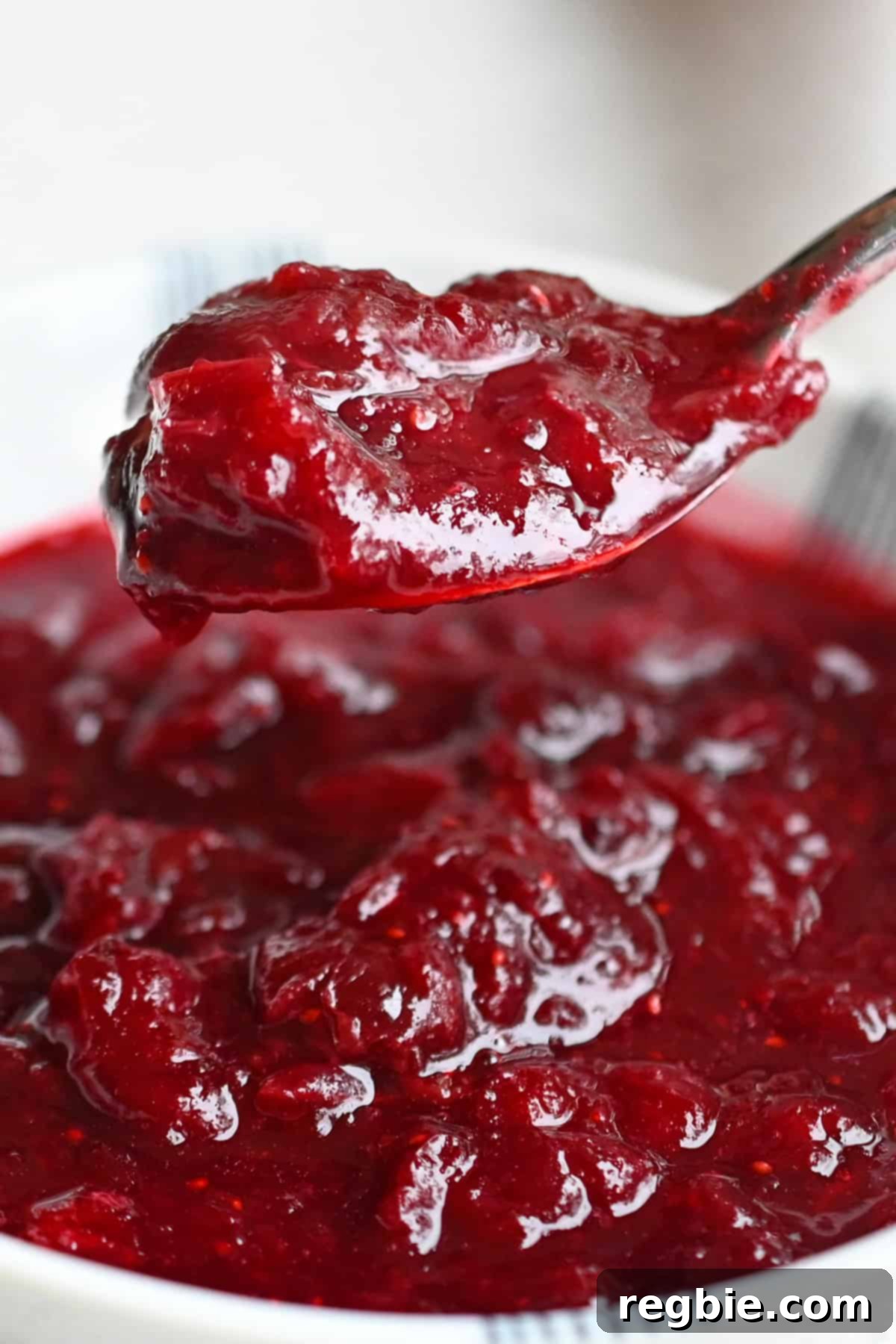 A beautifully presented bowl of homemade paleo cranberry sauce with a spoon lifting up a serving, inviting a taste.