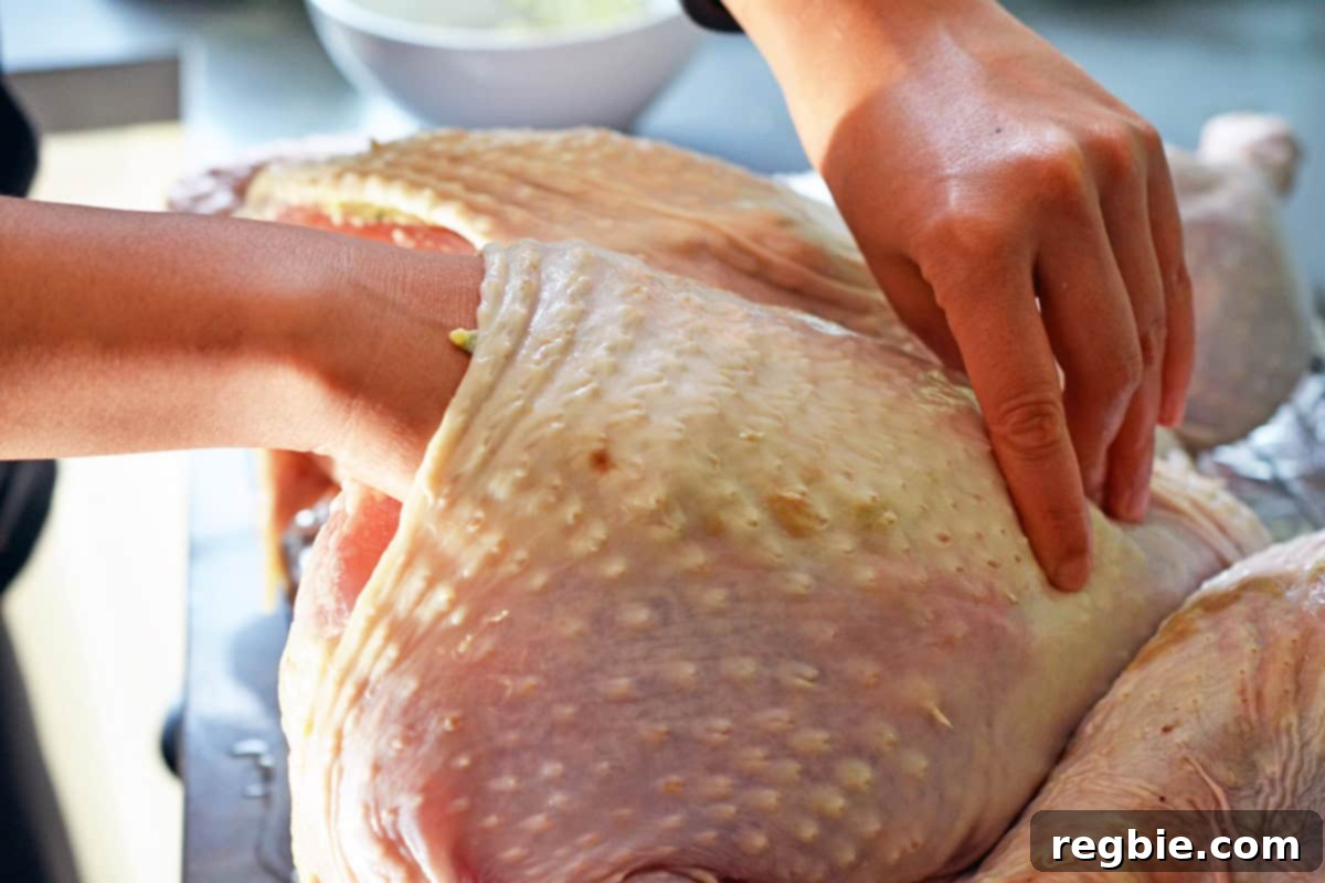A hand gently working herb compound butter under the skin and onto the breast meat of a raw turkey.